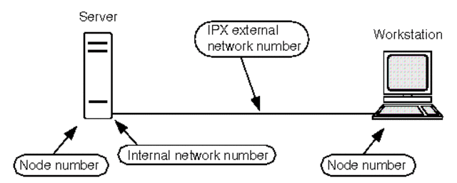 Transmission Control Program,