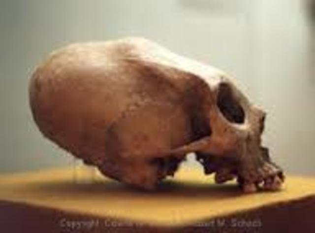 2000BCE Mayan beauty