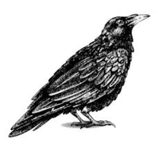 The Raven is Published