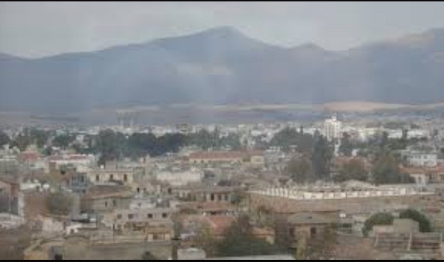 Organisation International