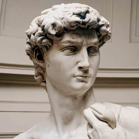 Michelangelo Created the David