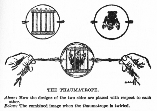 Invention of Thaumatrope