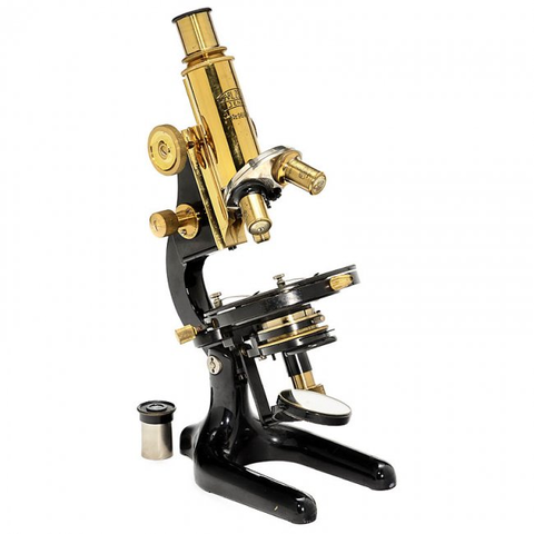 le microscope loupe