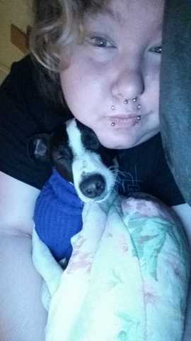 Adopted my puppy from somewhere in Cali.