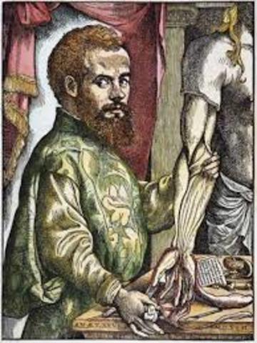 Andreas Vesalius