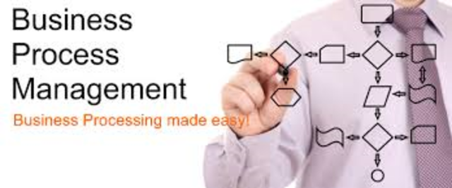 Business Process Management (BPM)