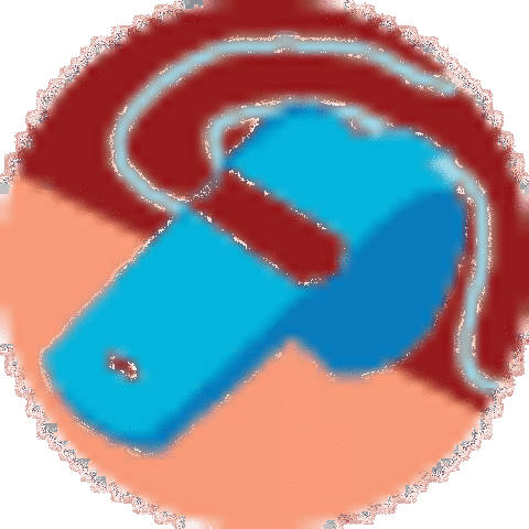 Tech Coaches at each site