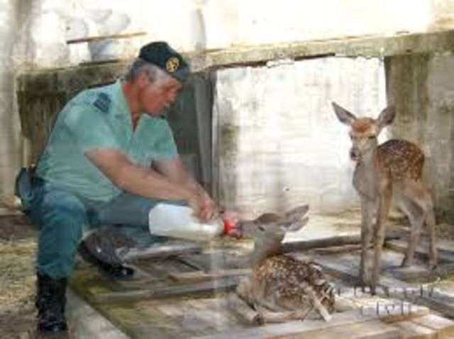 LONDRES (GRAN BRETAÑA)