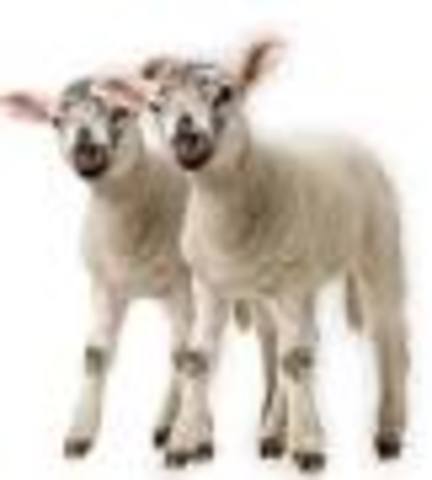 Invencion de la clonacion animal