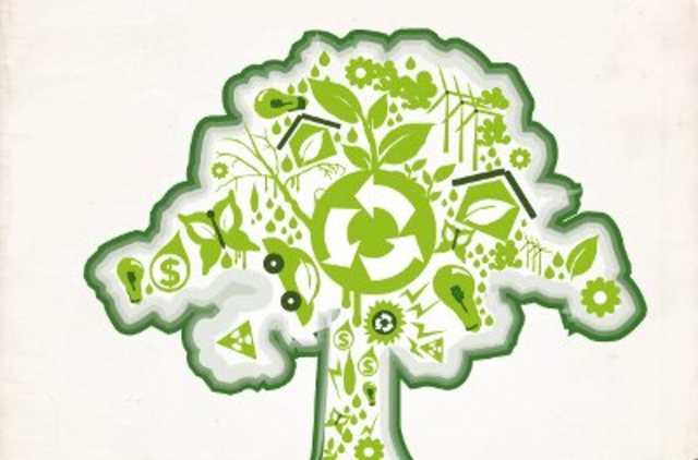 Programa de Acción en Materia de Medio Ambiente