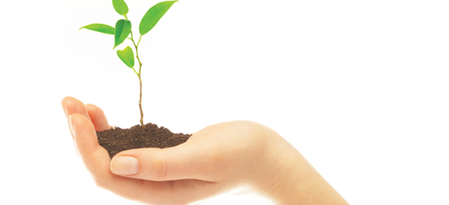 DERCHO DE CONSERVACION