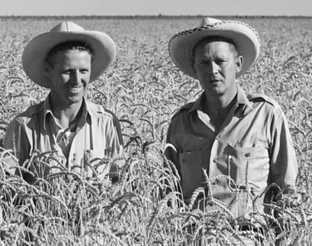 Mexican Ministry of Agriculture Cooperative Program