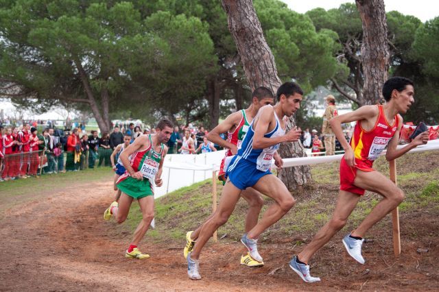 XC IN THE OLYMPICS