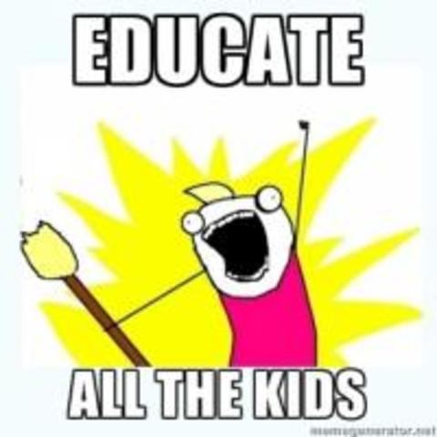 Individuals with Disabilities Education Act(IDEA)