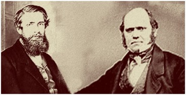 Darwin and Wallace present their theories on evolution