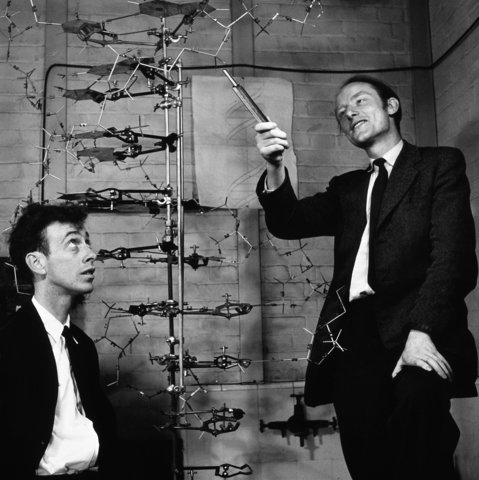 Watson and Crick discover "double helix" structure of DNA