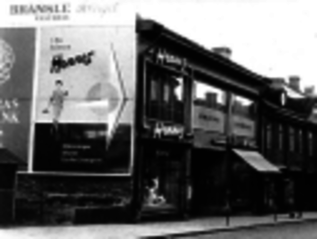 EL GENIO LLEGA DE SUECIA (H&M)