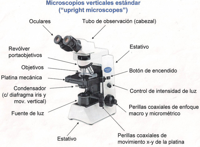 EL MICROSCOPIO