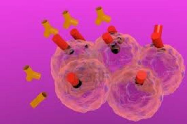 Anticuerpo Monoclonal