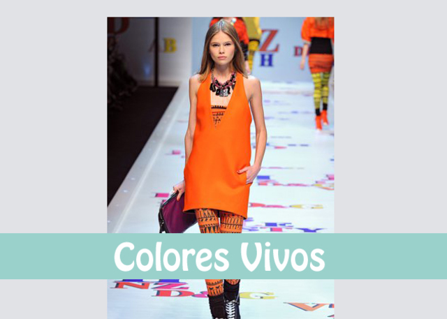 PREDNAS DE COLORES VIVOS