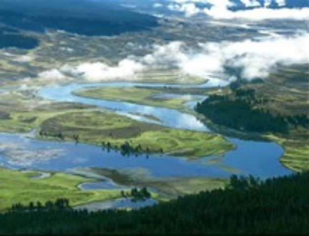 Visit to Yellowstone National Park