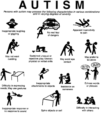 Autism Reflected in Special Education