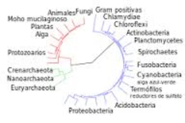 Primera teoria de la evolucion biologica