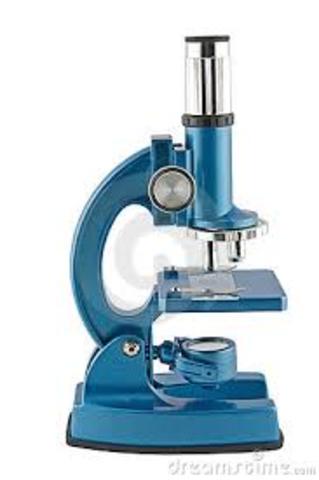 El microscopio