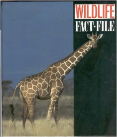 Emergent Literacy: 4