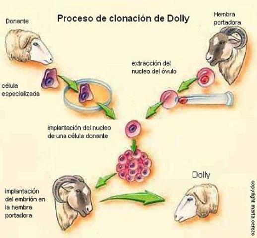 CLONACION DEL PRIMER MAMIFERO