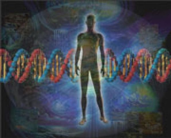 POLIMORFISMO DEL ADN