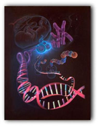 SERES HUMANOS TIENEN ENTRE 20.000 Y 25.000 GENES