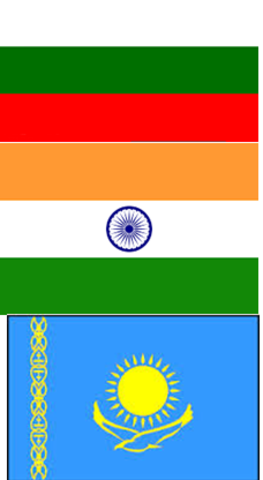 Expansiòn Inditex 2010