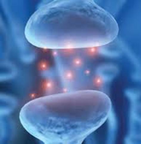 DESCUBRIMIENTO D ELOS NEUROTRASMISORES