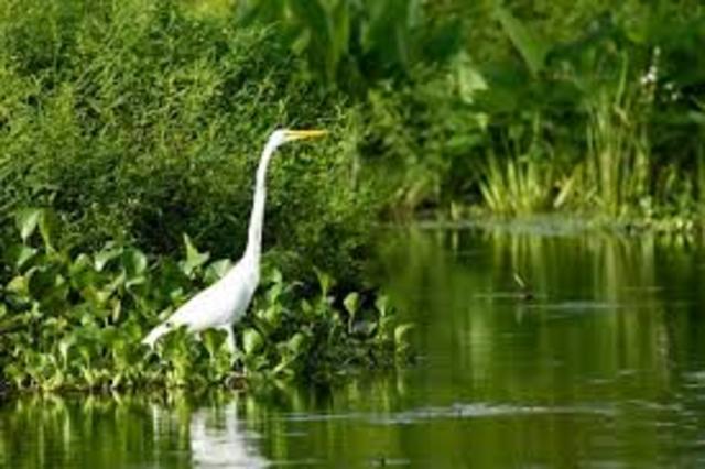 BIODIVERSIDAD TROPICAL