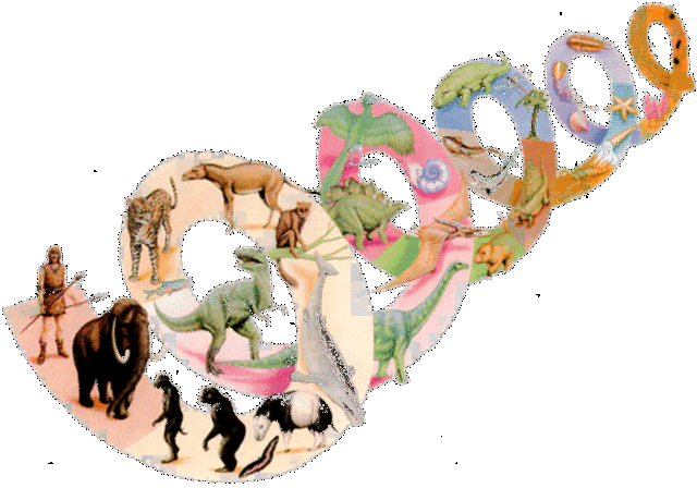 Preservacion de los seres vivos