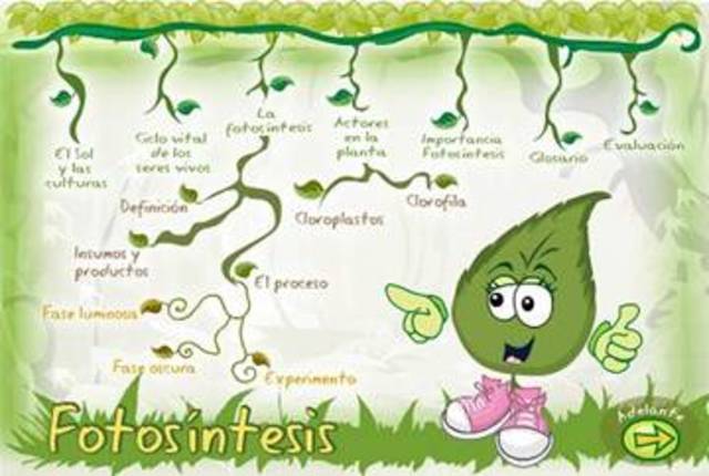 FOTOSINTESIS
