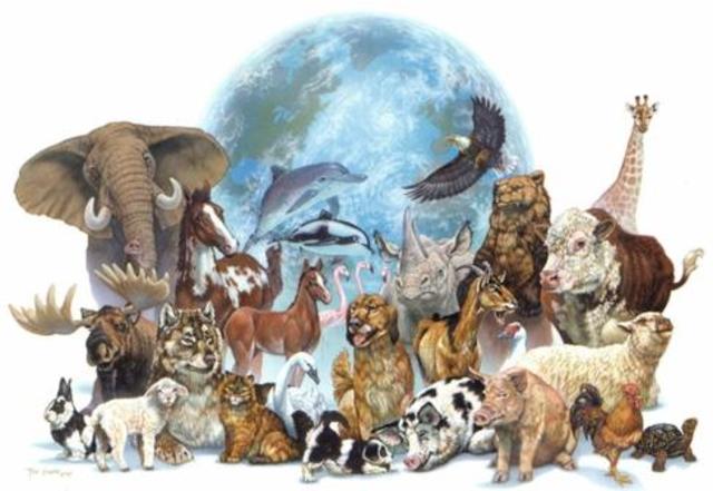 Relacion entre los seres vivos