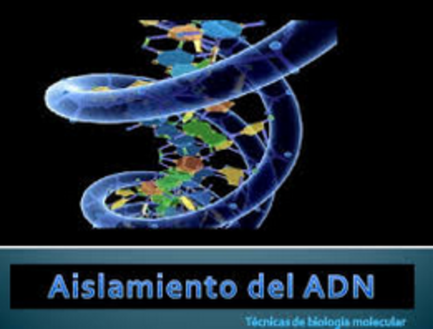 Aislamiento del ADN