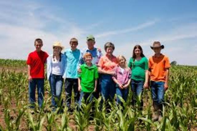 Working Class Children