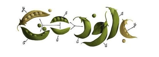 1900 - GREGOR MENDEL