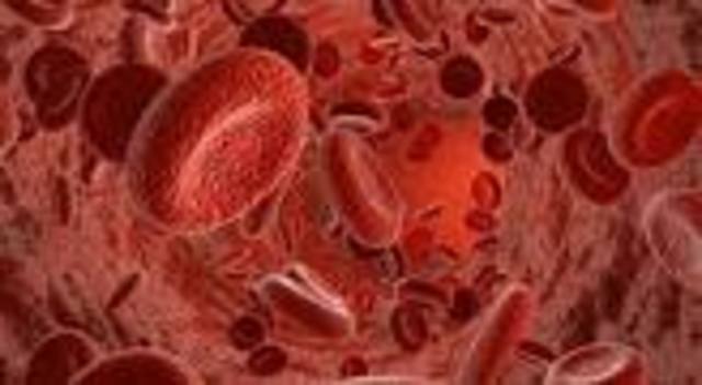 CIRCULACION DE LA SANGRE