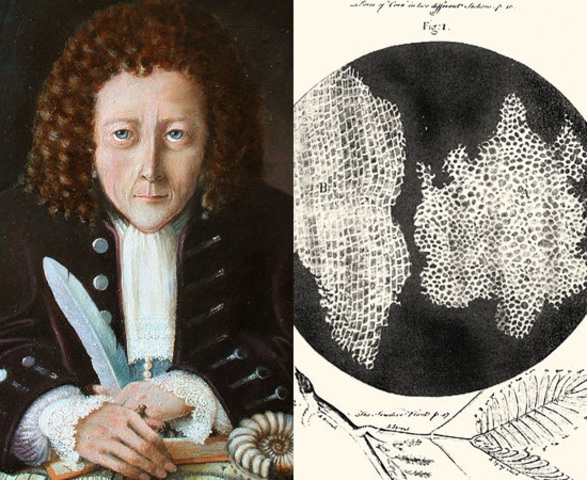 ROBERT HOOKE