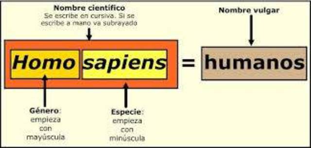 Nomenclatura Binomial