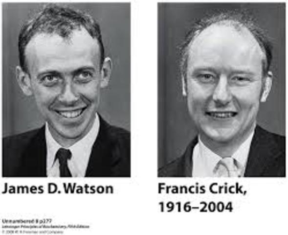 WATSON Y CRICK