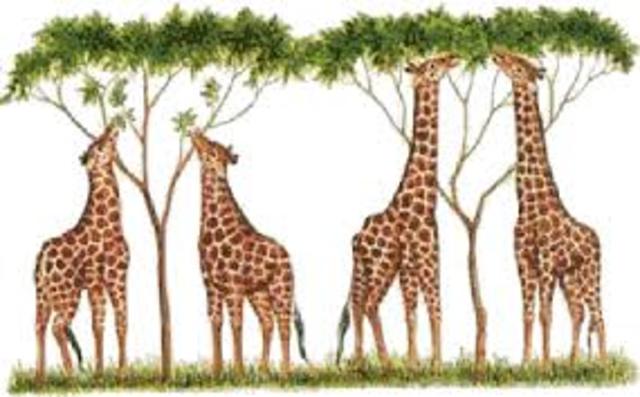 EL ORIGEN DE LAS ESPECIES