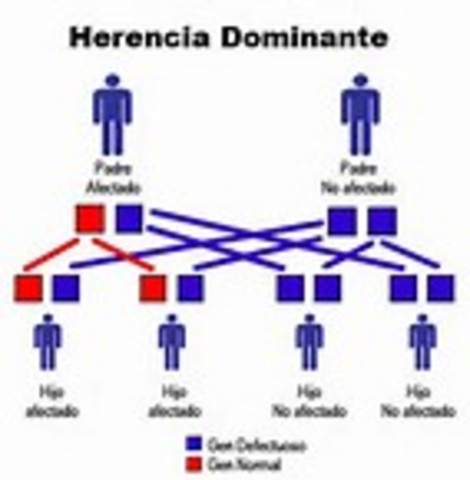 El Origen de la Genetica