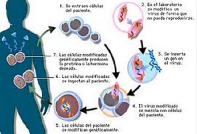 enfermedades infecciosas