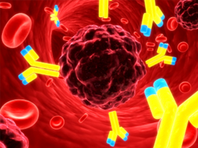 ANTICUERPO MONOCLONAL