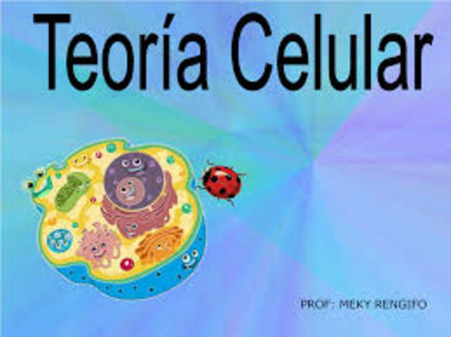 Teoria celular
